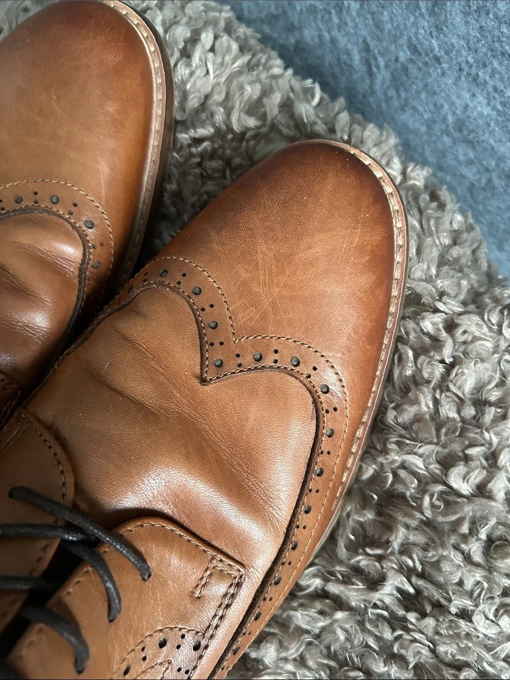 Aldo Tan Leather Wingtip Oxfords